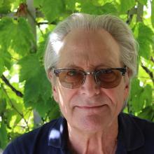 Peter Lindroth